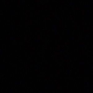 Meet your Posher, Monique